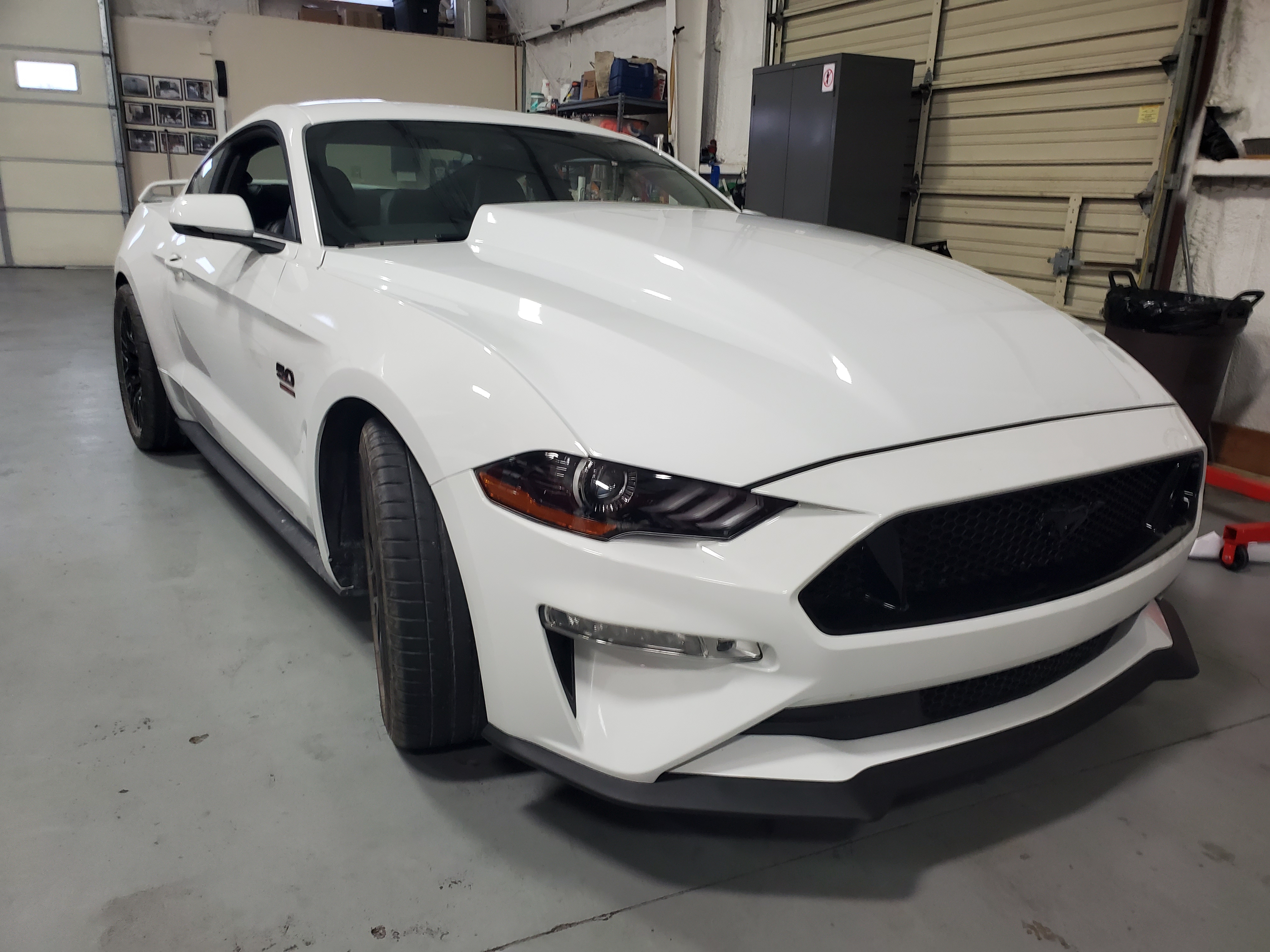 2019_GT_2.jpg