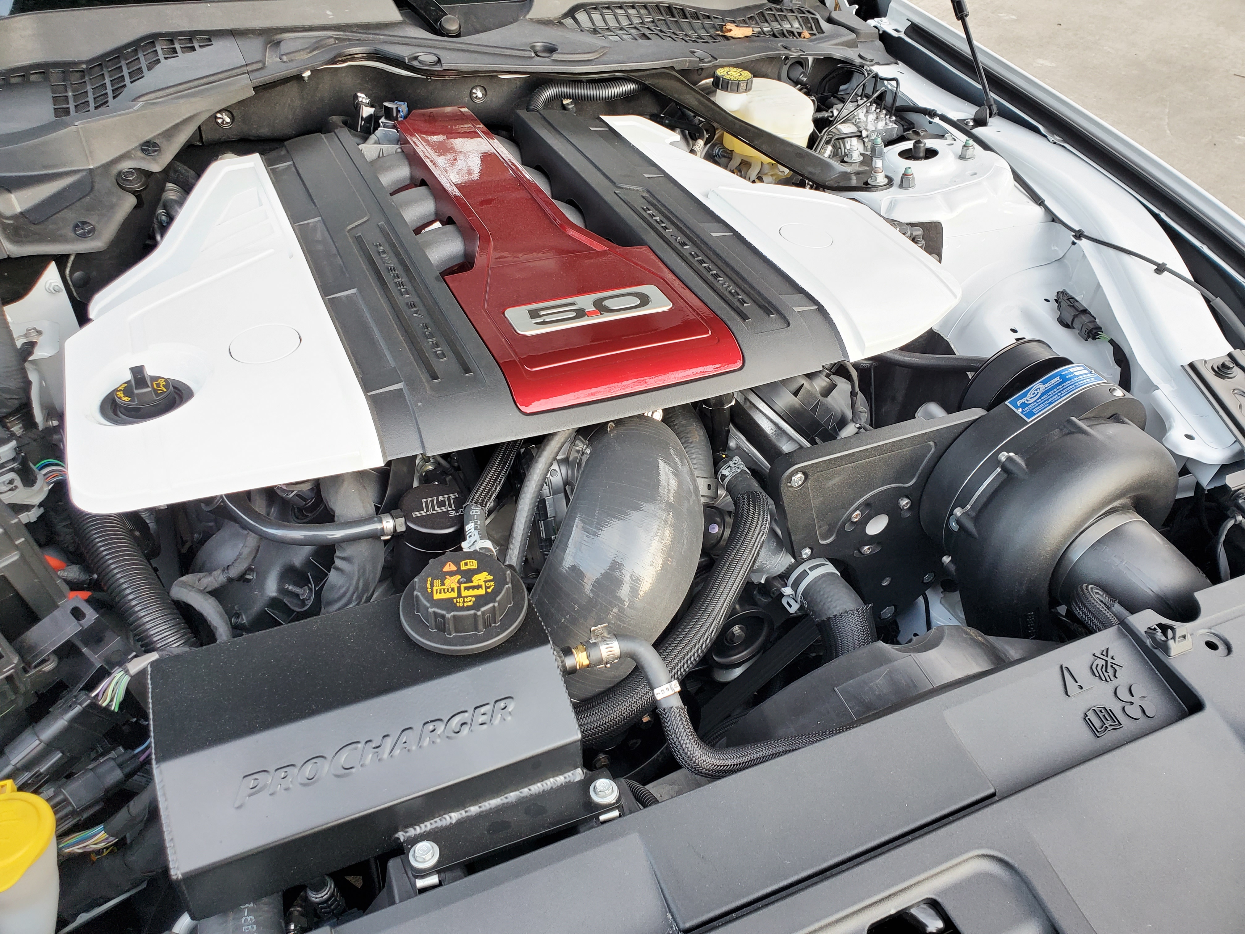 2019_GT_7